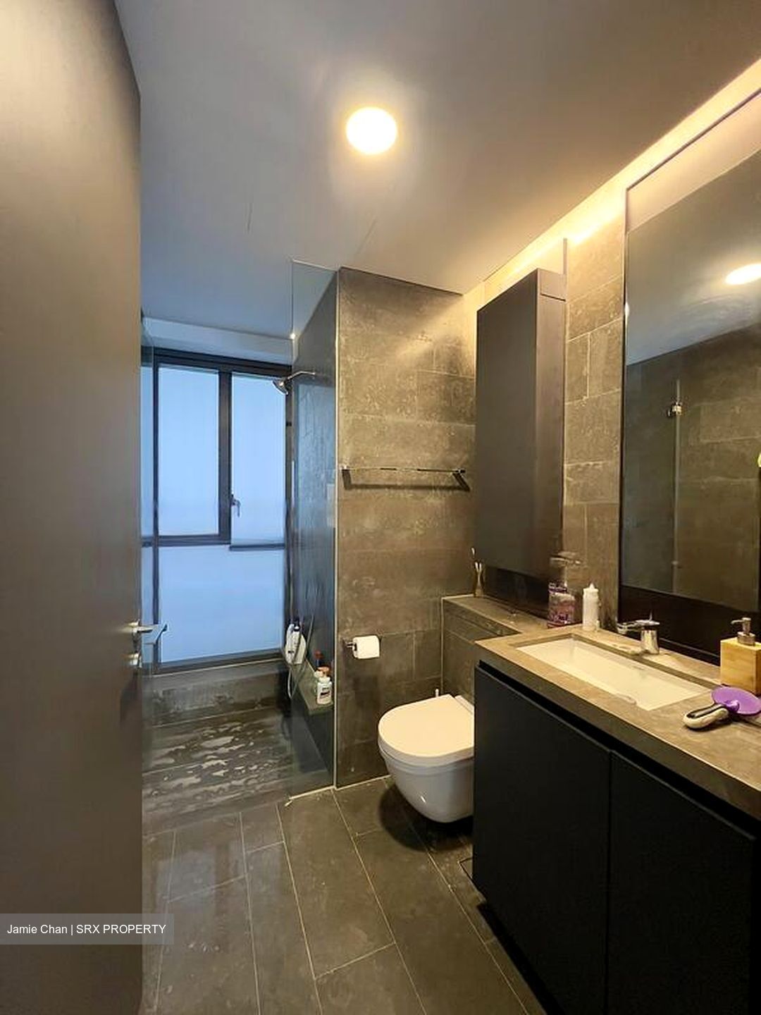 Skysuites@Anson (D2), Apartment #468104821